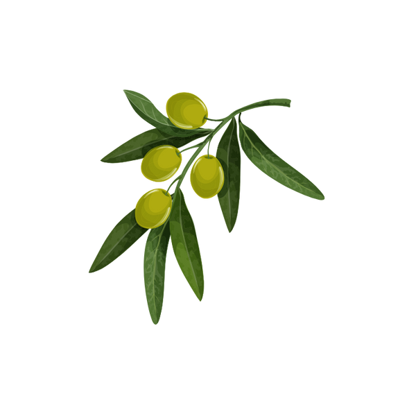 Extra Virgin Olive Oil