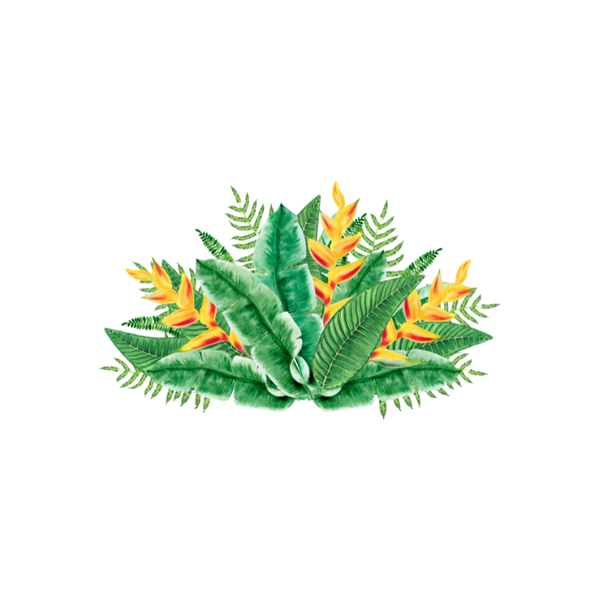 Hemp
