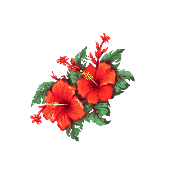Hibiscus