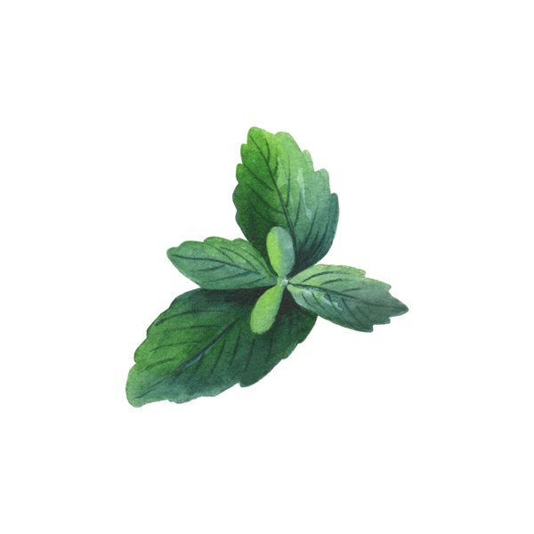 Peppermint