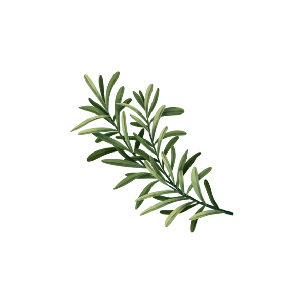 Rosemary