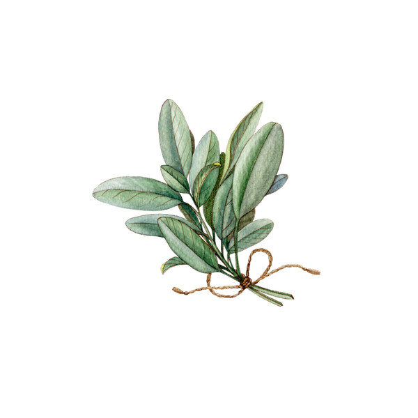 Sage